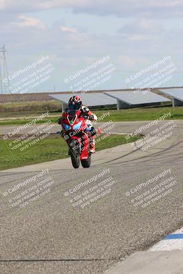 media/Feb-10-2024-TrackDaz (Sat) [[d83b097a69]]/C Group/1240pm (Wheelie Bump)/